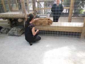 Christine caresse un lionceau